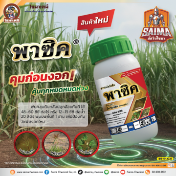 Artboard 8AW พาซิค SI ปี68 Web